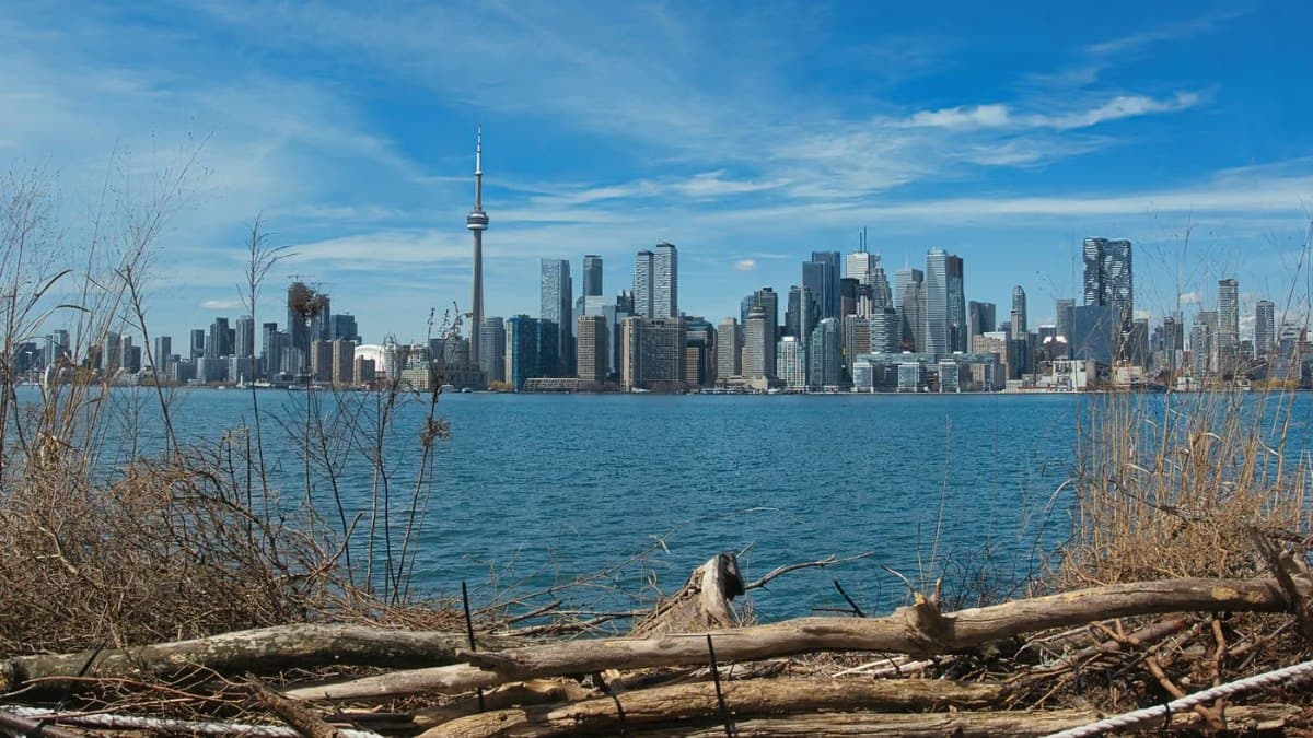 Toronto skyline viewed across the water with the CN Tower
