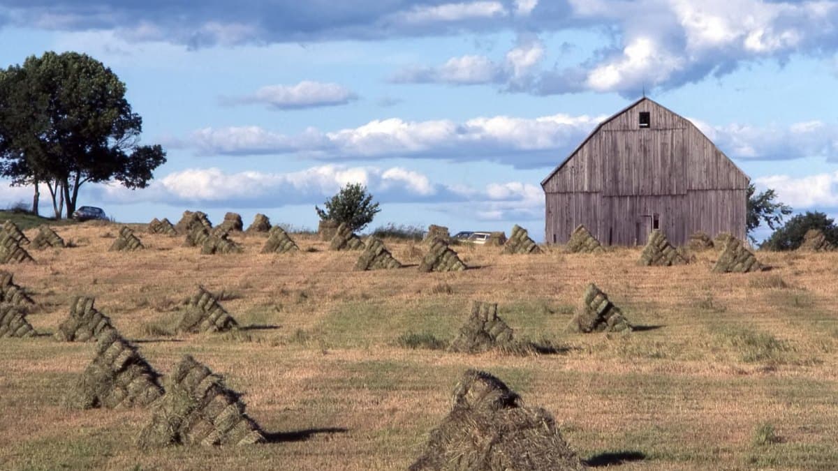 Rolling rural Ontario countryside with fields and a farmhouse