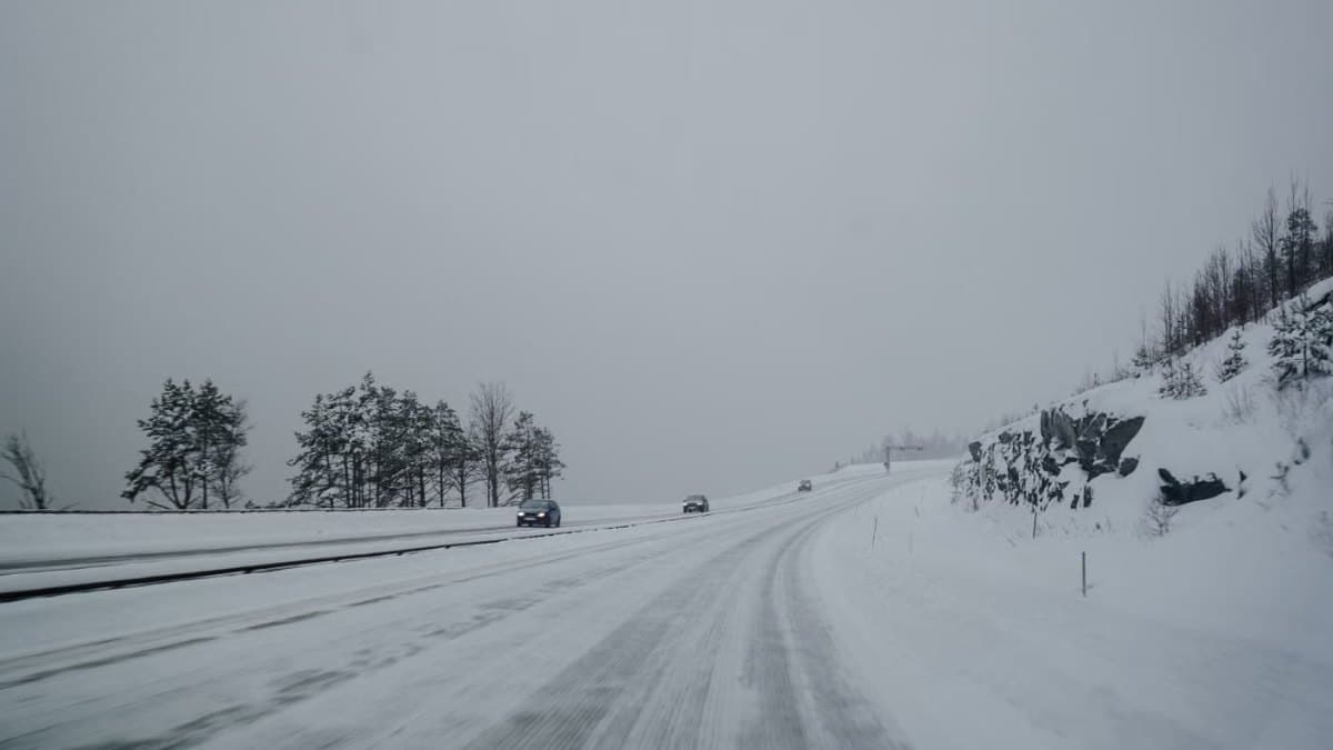 Quiet Ontario highway landscape lined with snow-covered trees