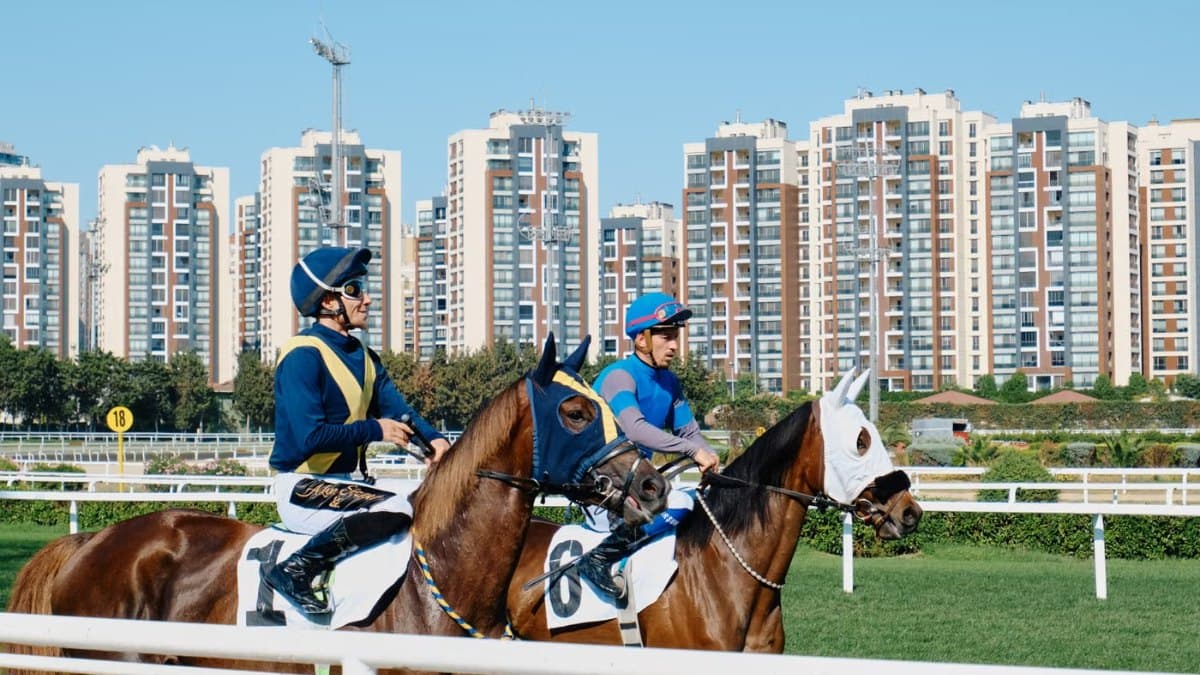 Jockeys on racehorses at a racetrack with a city skyline behind