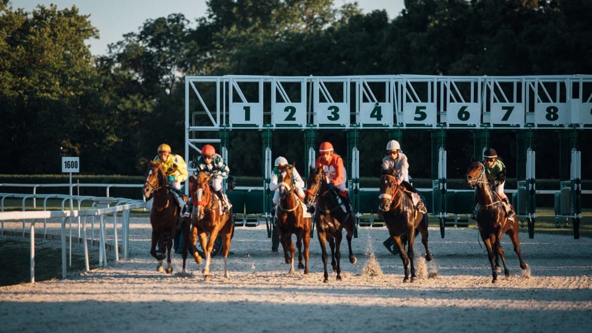 Horses and riders bursting from the starting gate at a racetrack