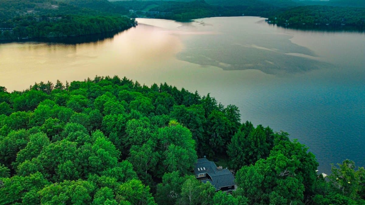 Aerial view of lush green forest and a tranquil lake