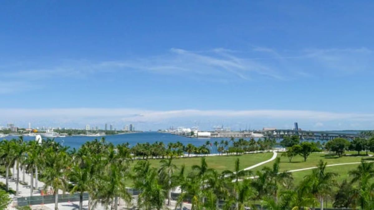 Miami skyline overlooking the water